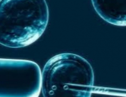 Российские ученые сделали очередной шаг на пути к регенеративной медицине