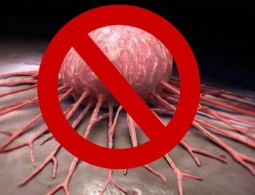 Успешно испытана вакцина против рака