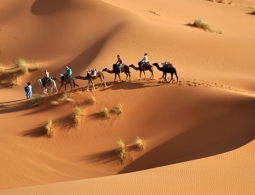 СМИ: воск помог ученым установить, как высохла Сахара