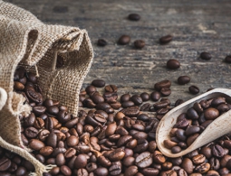 Ученые выяснили, как кофе влияет на здоровье человека