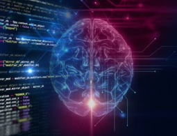 DARPA финансирует шестерых разработчиков нейрокомпьютерного интерфейса