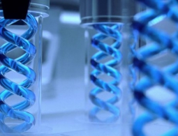 Ученые вернули к жизни вымерший вирус, восстановив его ДНК