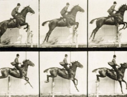 Ученые впервые записали в ДНК мультфильм