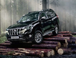 Названы самые популярные дизельные автомобили в России