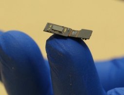 В США разрабатывают способный вернуть зрение и слух мозговой имплант