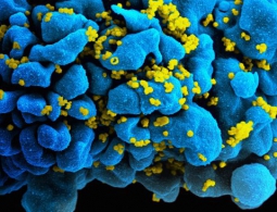 Ежемесячные инъекции заменят ежедневный приём препаратов от ВИЧ