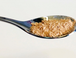 Проект «Еда из электричества». Как такое вообще возможно?