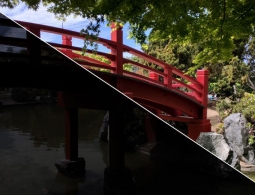 MIT и Google научат смартфоны редактировать фото в реальном времени