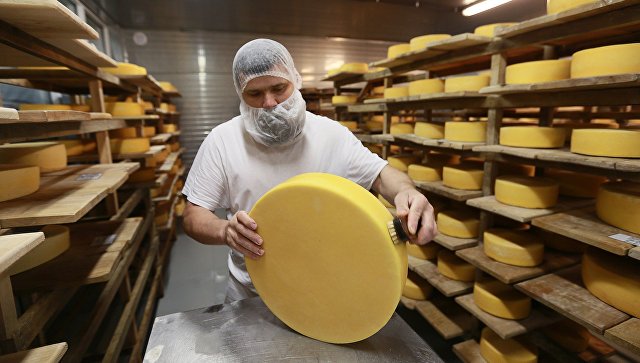 Как сыр в масле: российские фермеры отметили годовщину эмбарго