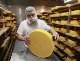 Как сыр в масле: российские фермеры отметили годовщину эмбарго
