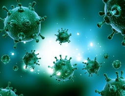 Обнаружен вид бактерий, которые «общаются» друг с другом с помощью электрических импульсов