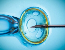 Дилемма «дизайнерских младенцев» набирает обороты