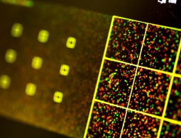 Вредоносный код, записанный в ДНК, способен заражать компьютеры