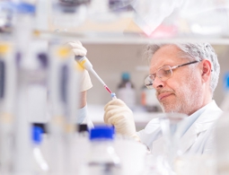 Ученые раскрыли необычную связь между биоритмами, диетой и старением