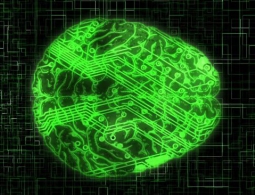 DARPA работает над улучшением человеческих чувств с помощью компьютеров