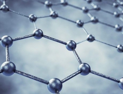 Найден способ получать графен из древесины