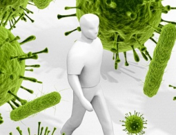 У микробов может быть собственная версия Интернета