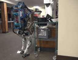 Почему люди доверительнее относятся к роботам, совершающим ошибки?