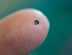 Ученые распечатали «лабораторию» размером 100 микрометров