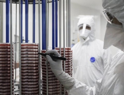 Можно ли умереть в России от инфекции, вызванной супербактерией?