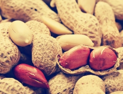 Австралийские ученые нашли способ избавиться от аллергии на арахис