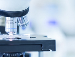 Российские ученые создали микроскоп, "видящий" объект и снаружи, и внутри