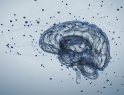 IBM видит искусственный интеллект не как набор обычных алгоритмов