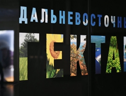 Получатели "дальневосточного гектара" создали четыре населенных пункта