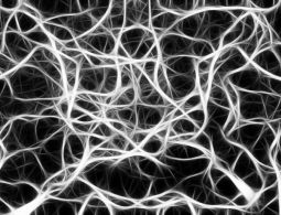 Квантовая запутанность может быть неотъемлемым свойством реальности