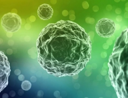 Жизнь: случайное стечение обстоятельств или закон… физики?