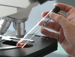 Ученые нашли способ замедлить старение