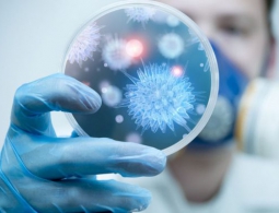 Как сделать лекарства от гриппа эффективнее?