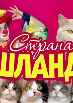 Страна кошландия | Московский театр кошек В.Куклачева