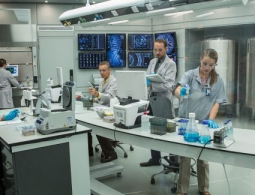 10 удивительных вещей, выращенных в лаборатории