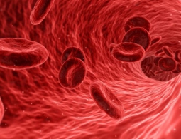 В Китае научились добывать электричество при помощи тока крови