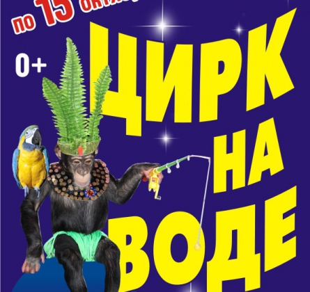 Цирк на воде