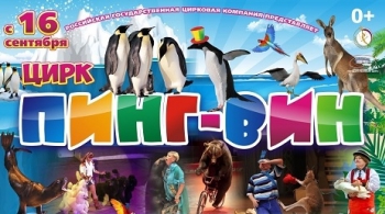 Цирк | ПингВин