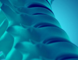 Синтетический спинной мозг решит проблему паралича