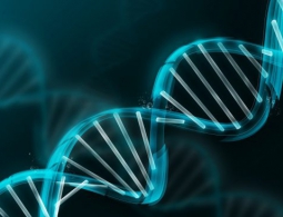 Микроскопического робота научили сортировать молекулы ДНК