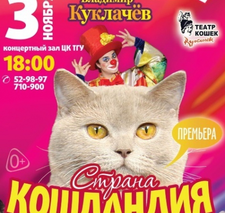 Страна кошландия | Московский театр кошек В.Куклачева