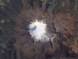 Ученые, похоже, нашли «триггер», запустивший развитие сложных форм жизни на Земле