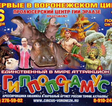 ЦИРК | Гиппопотамус