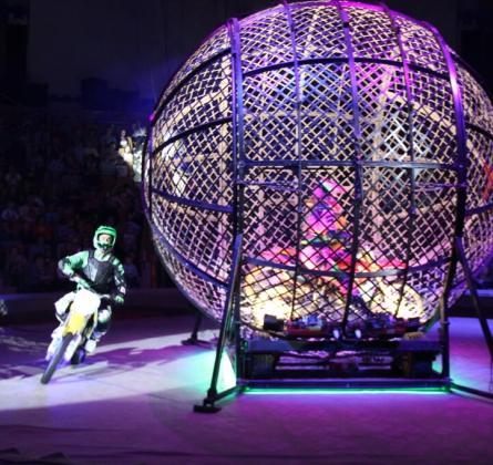 ЦИРК | Парад дрессуры и экзотики