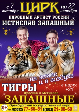 Тигры в воздухе и на земле | Мстислав Запашный