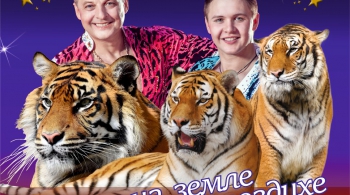 Тигры в воздухе и на земле | Мстислав Запашный