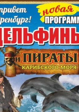 Дельфины и пираты карибского моря