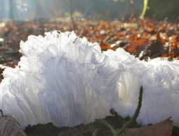 10 природных явлений, в существование которых вы не поверите