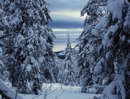 В районе перевала Дятлова найдены таинственные древние геоглифы