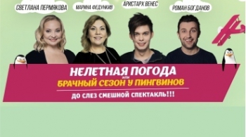 Нелетная погода, или Брачный сезон у пингвинов