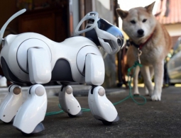 Sony выпустит обновлённую версию легендарного робота Aibo